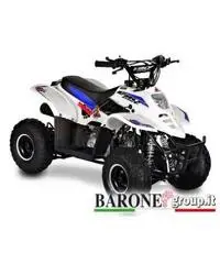 New Quad Bamboo 50cc - 2