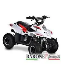 New Quad Bamboo 50cc - 7