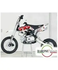 Pit Bike BSE SPORT 125 cc 14 12