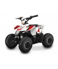 QUAD LEM KONDOR BABY 50CC - 3