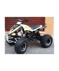 QUAD MONSTER R7 - 2