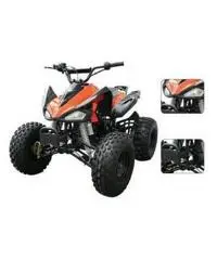 QUAD MONSTER R8 - 2