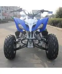 QUAD PANTERA ATV 250CC R10 - 2