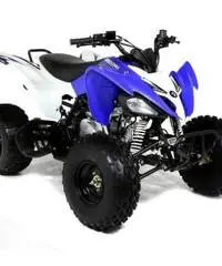 QUAD PANTERA ATV 250CC R10 - 8