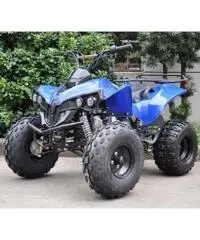 Quad Warrior Racing 125cc R8 - 5