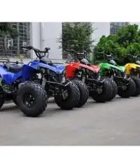 Quad Warrior Racing 125cc R8 - 2