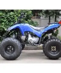 Quad Warrior Racing 125cc R8 - 4