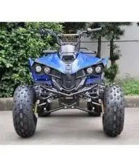 Quad Warrior Racing 125cc R8 - 7