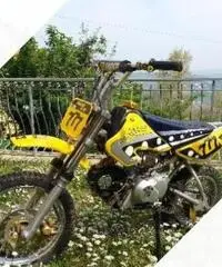 Pit Bike 110