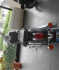 Honda VT 750 Shadow ( Pari al nuovo ). - 7