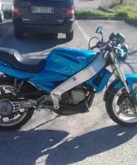 Aprilia AF1 Europa