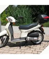 Honda SH 50 - 1997