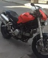 DUCATI Monster tipo veicolo Naked cc 803 - 2