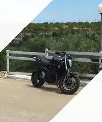 Fz6 s2 - 2