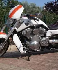 Harley Davidson V-Rod Muscle 1250cc Special Custom Unica