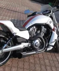 Harley Davidson V-Rod Muscle 1250cc Special Custom Unica - 4