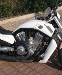 Harley Davidson V-Rod Muscle 1250cc Special Custom Unica - 5