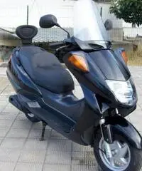 Honda Foresight 250 20CV - 6