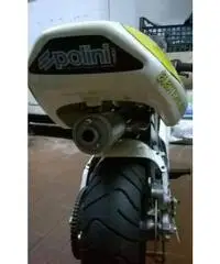 MINIMOTO POLINI - 5