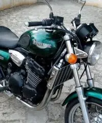 Triumph TT Legend - 2