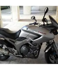 YAMAHA TDM 900 ie ANNO 2003 KM 10700 - 2