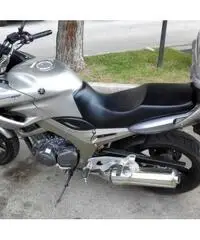 YAMAHA TDM 900 ie ANNO 2003 KM 10700 - 4