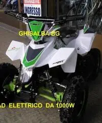 mini quad elettrico da 36V-1000W BIANCO VERDE