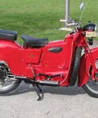 MOTO GUZZI GALLETTO 192cc FMI vespa lambretta e moto epoca - 3