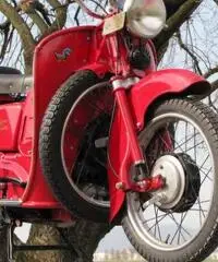 MOTO GUZZI GALLETTO 192cc FMI vespa lambretta e moto epoca - 4