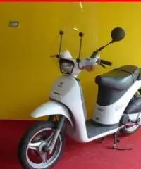 PIAGGIO Free 50 bianco - 3624 - 2