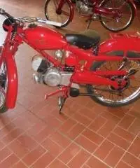 MOTO GUZZI V 75 CARDELLINO - 2