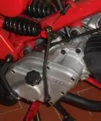 MOTO GUZZI V 75 CARDELLINO - 5