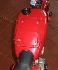 MOTO GUZZI V 75 CARDELLINO - 9