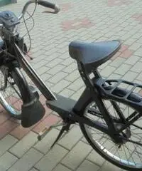 VELOCIFERO Velocifero 50 VELOSOLEX 3800 - 4