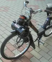 VELOCIFERO Velocifero 50 VELOSOLEX 3800 - 5