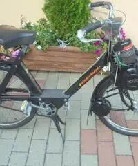 VELOCIFERO Velocifero 50 VELOSOLEX 3800 - 6