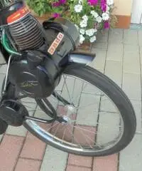 VELOCIFERO Velocifero 50 VELOSOLEX 3800 - 9