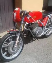 gilera tg1 - 2