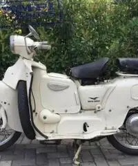 MOTO GUZZI Galletto 192 1962 - 8