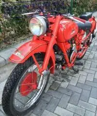 MOTO GUZZI Airone 250 1951 - 5