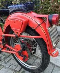 MOTO GUZZI Airone 250 1951 - 8