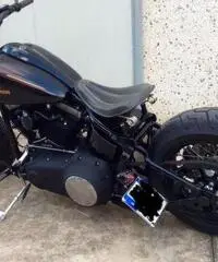 HARLEY DAVIDSON SOFTAIL CROSS BONES