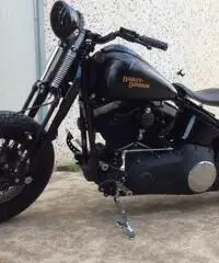 HARLEY DAVIDSON SOFTAIL CROSS BONES - 4