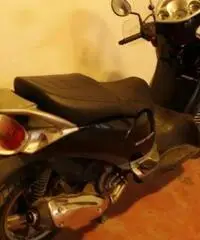 APRILIA Scarabeo tipo veicolo Scooter cc 250 - 3