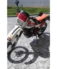 Honda XL600R, anno 1983 - 3