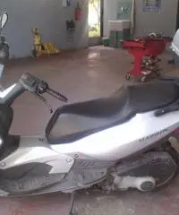 MALAGUTI Madison 180R