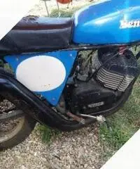 Benelli 125 Cross Altro modello - Anni 70 - 2