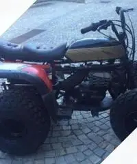 Quad 250cc (prototipo)