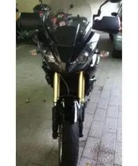 TRIUMPH Tiger Turismo cc 1050