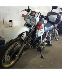 HONDA XL 600 LM (PD04E) – Doppio faro – 1987